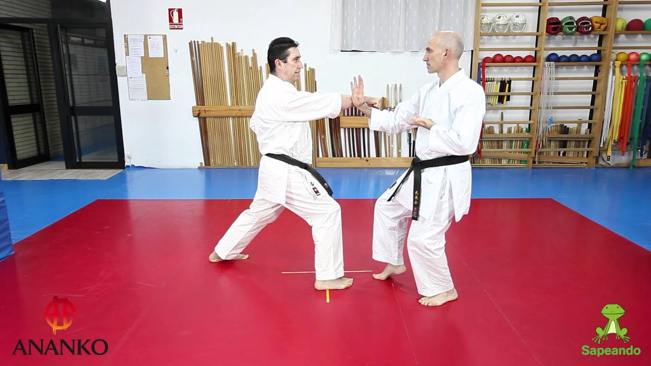 Defensas 2 - Karate-do
