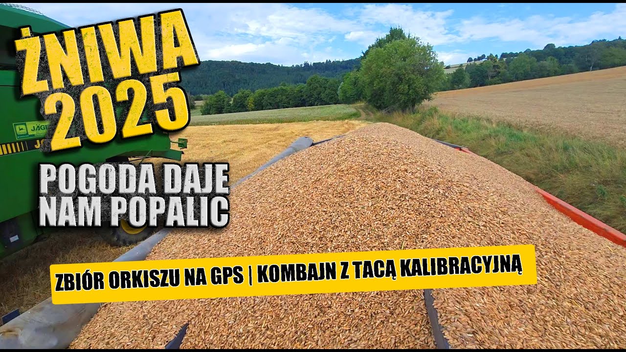 ŻNIWA 2025 - Pogoda daje nam popalić! Zbiór orkiszu na GPS | KOMBAJN Z TACĄ KALIBRACYJNĄ