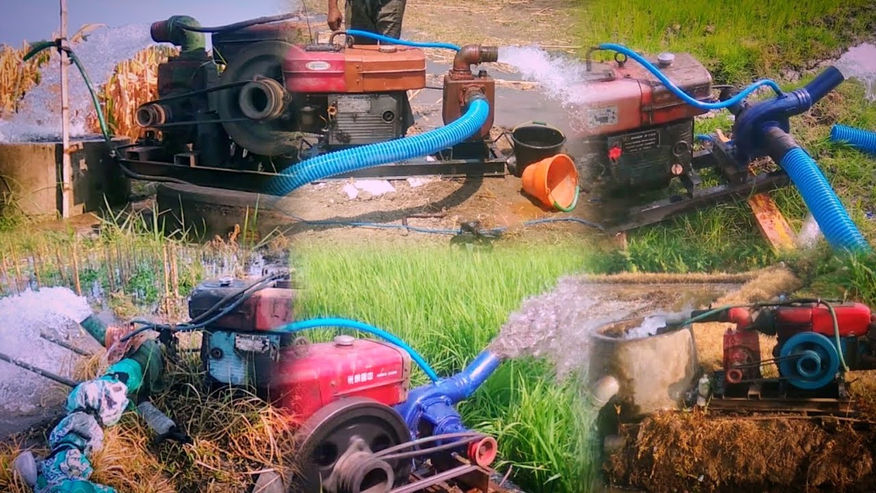 Kompilasi Diesel & Pompa Air Irigasi Sawah