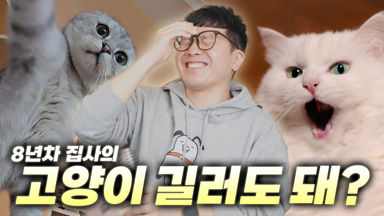 그래서 고양이 길러요 말아요?