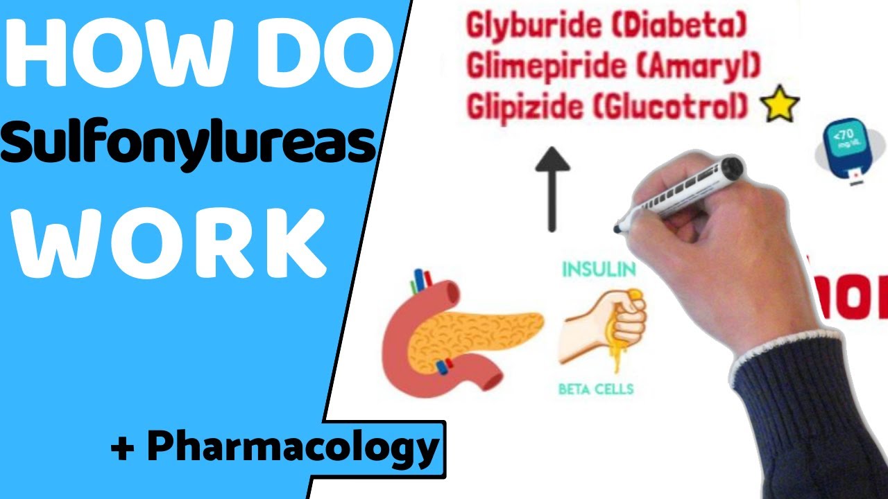 Как действуют сульфонилмочевины? (EASY Pharmacology)