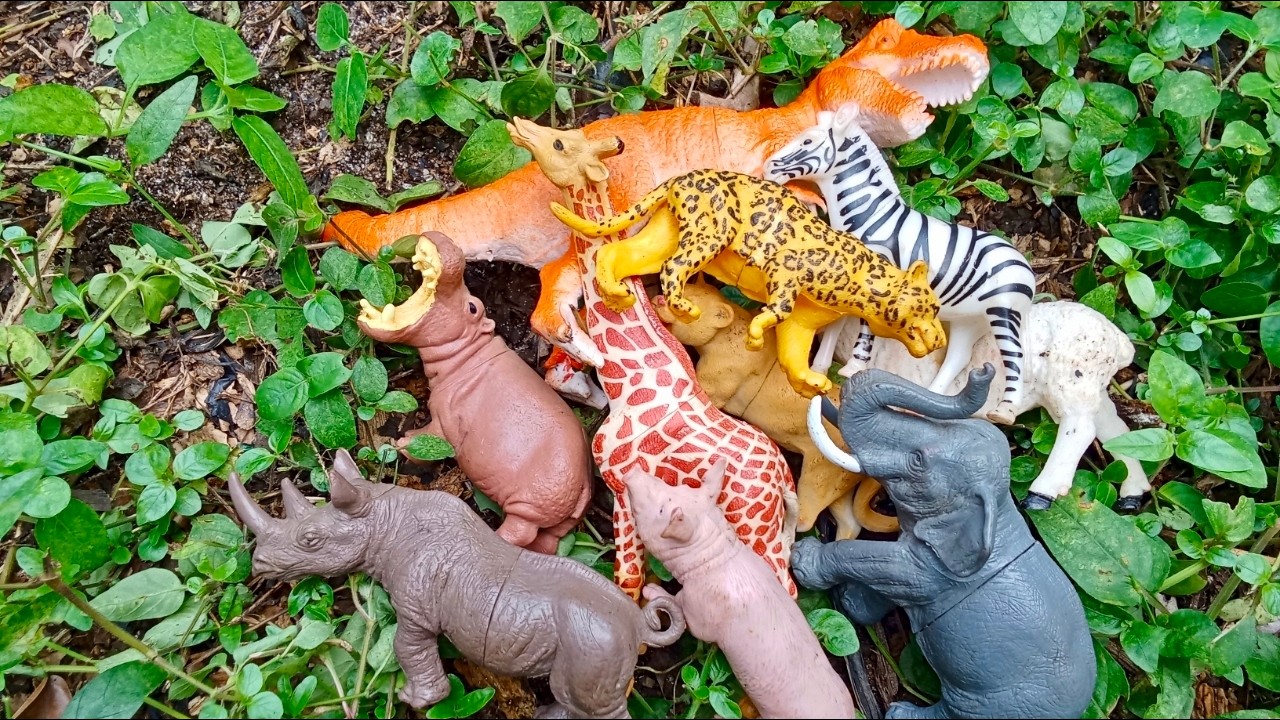 Finding Giant Toy Animals Hidden in the Deep Forest! 🦁 Wild Toy Rescue