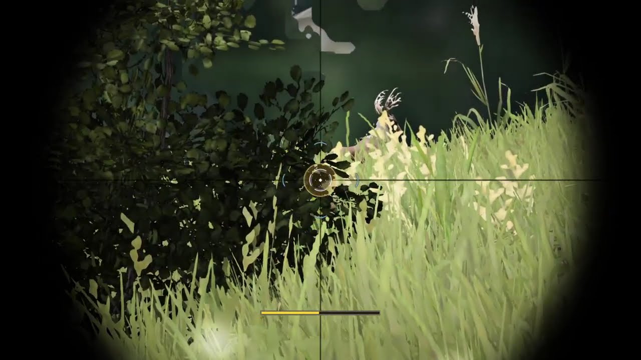 Sniper hunting - Black Desert Online