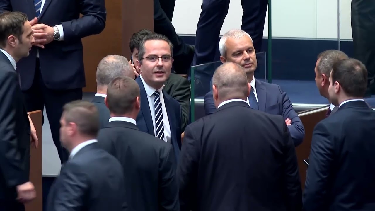 Bulgarian MPs scuffle in parliament after euro zone approval | REUTERS