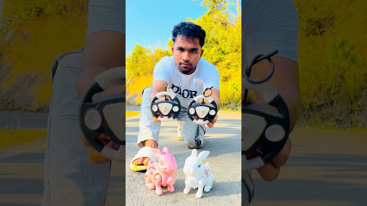 Best 2 rabbit 🐇 Rc remote control 