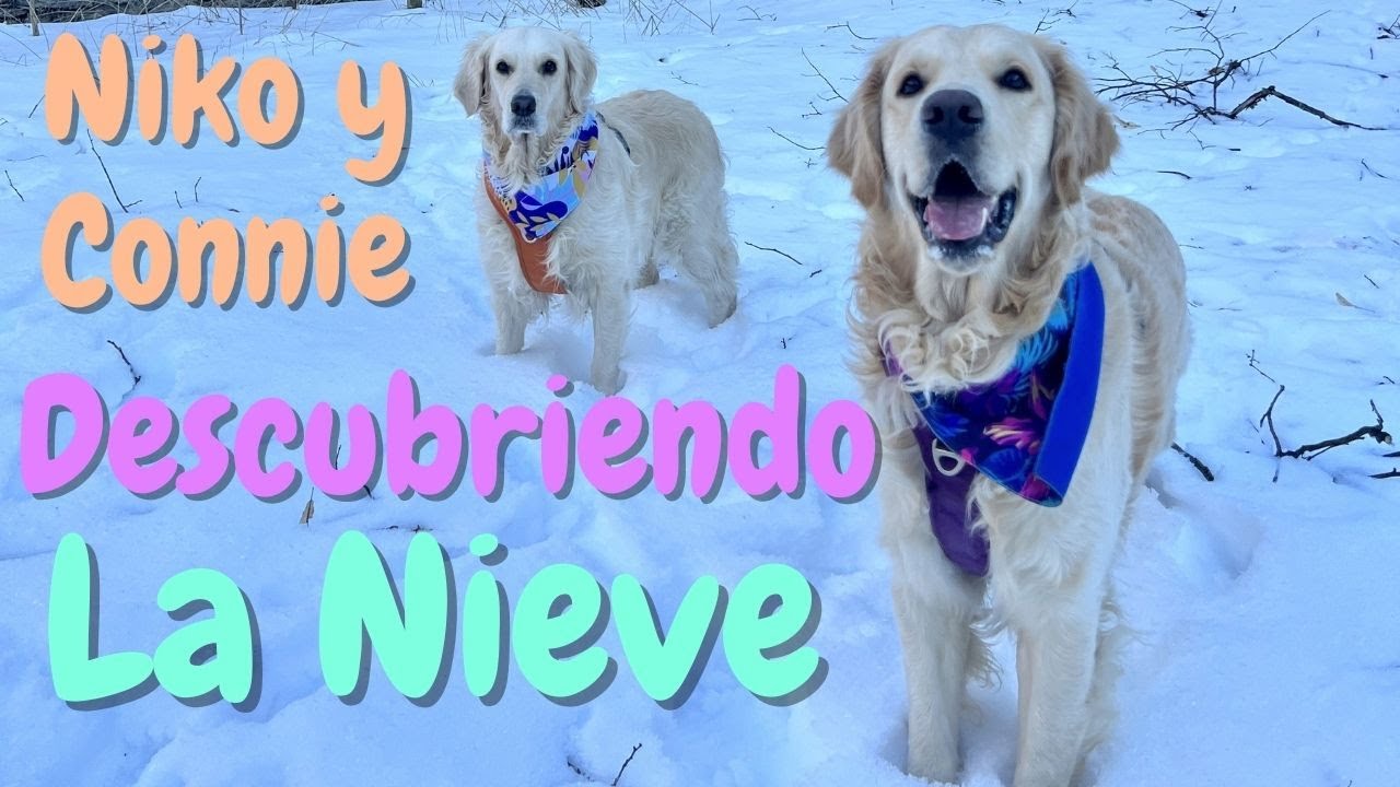 Niko y Connie descubriendo la Nieve