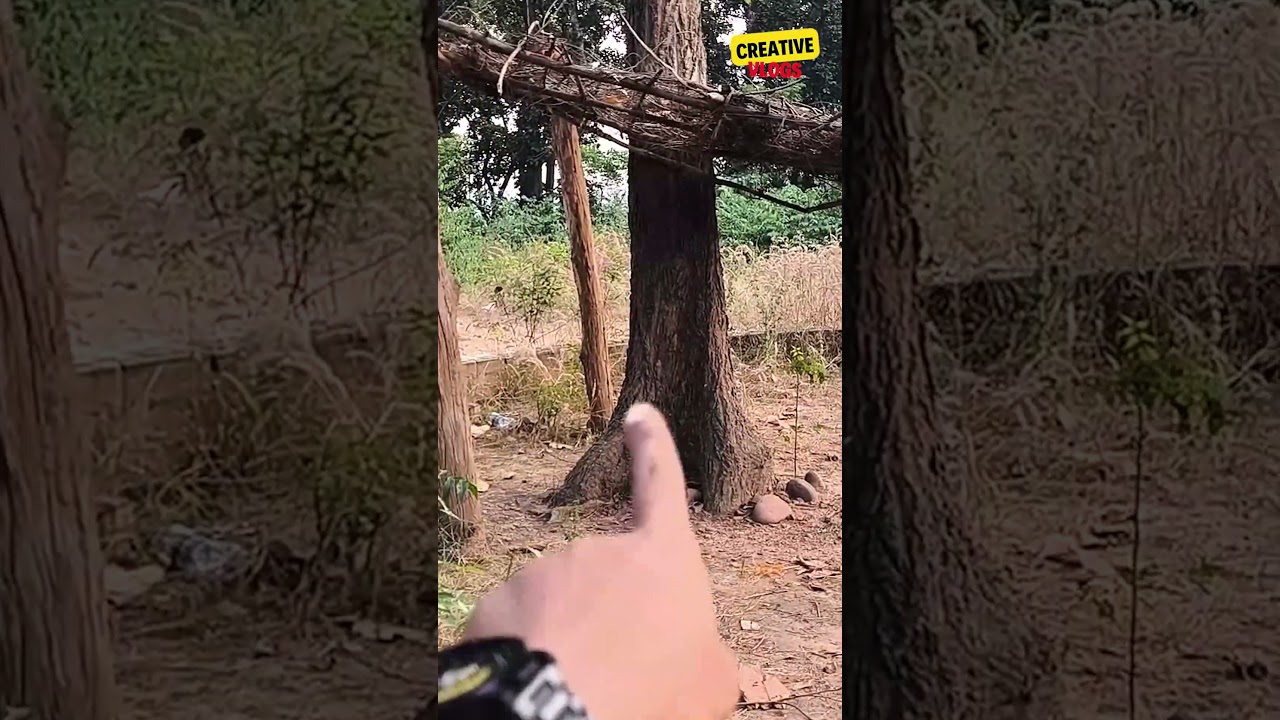 Phuldungri Hill - Ghatsila | Jharkhand | Creative Vlogs #shorts #ghatsila #jharkhand