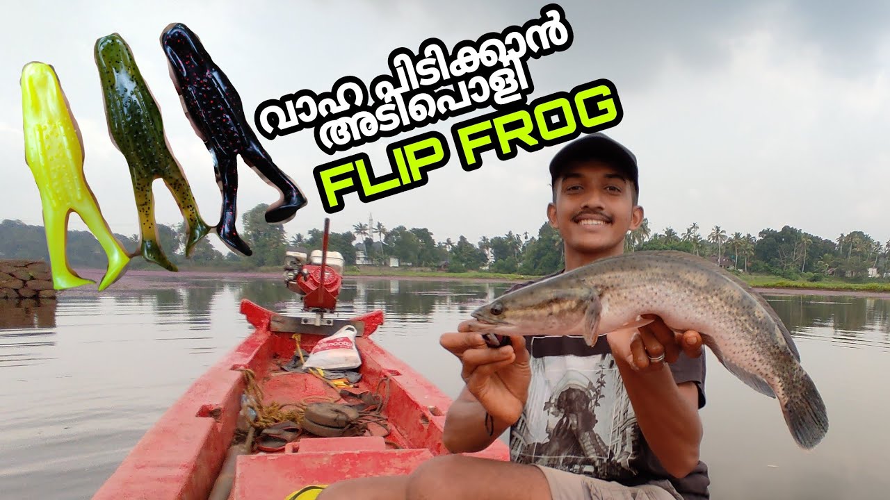 വാഹയുടെ അന്ധകൻ...Flip frog പൊളി സാധനം#flipfrogfishing#vahapidutham#snakeheadfishing#snakehead 🐬🐬