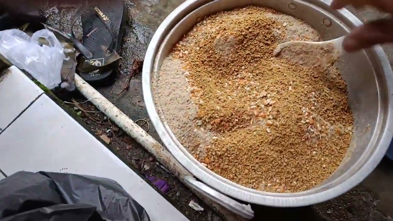 Pakan istimewa entok