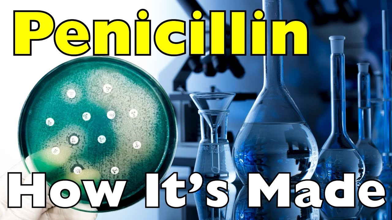 Забытая чашка Петри, изменившая мир