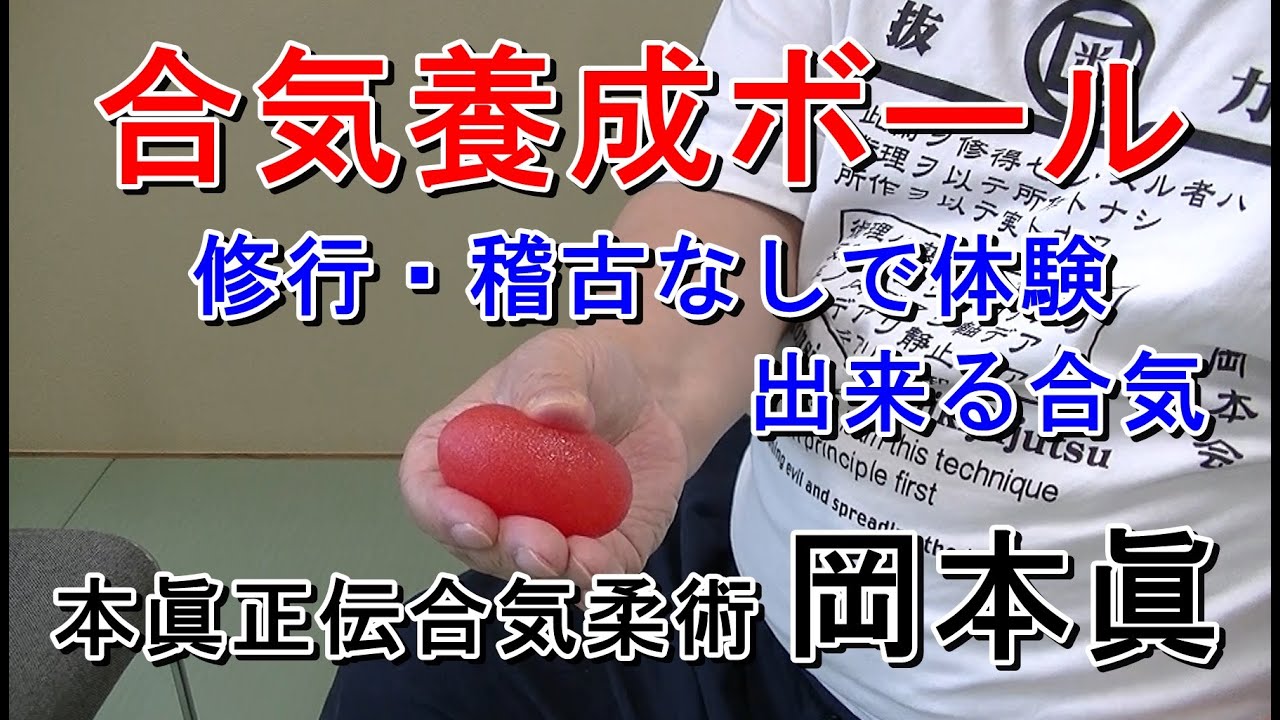 合気柔術チャンネル　合気柔術 #038　合気養成ボールとは何か？　aiki　makoto　okamoto