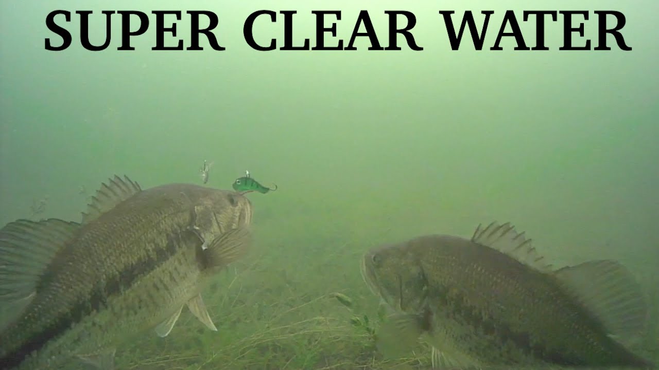 Ice Fishing Bass and Pike with Aqua Vu AV822HD
