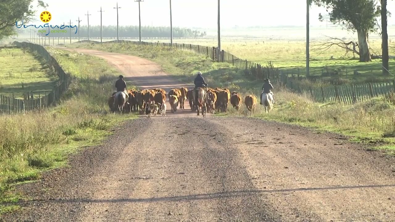 Los Relatos de un Caminante, Uruguay por dentro 17 de Mayo del 2025.
