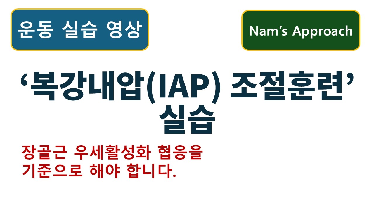 (운동 실습 영상) 복강내압(IAP) 조절 훈련. 동탄 바로본신경외과 남준록 원장.