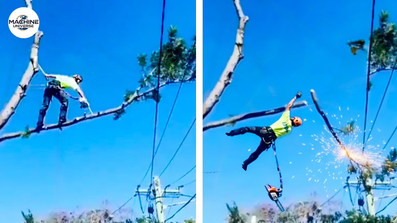 Idiots With Chainsaws: Tree Cutting Fails | Extreme Dangerous Logging Truck Fails #6