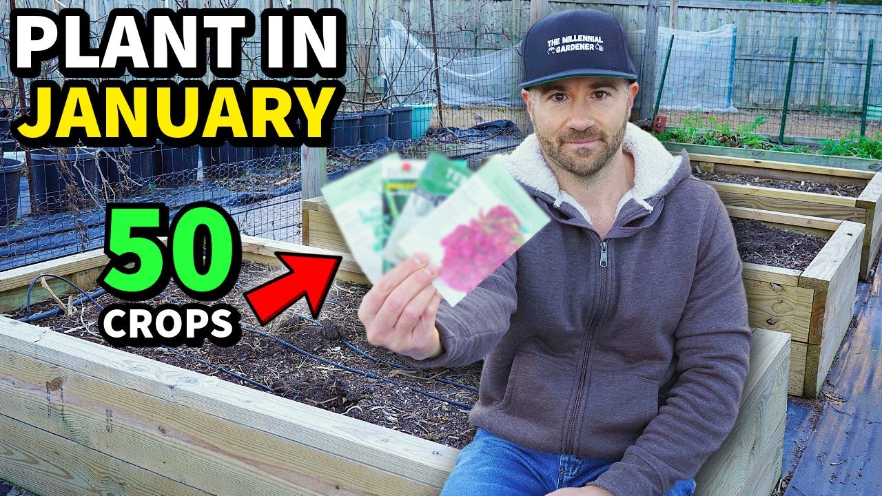 DON'T WAIT! Plant These 50 Awesome Crops In JANUARY NOW!