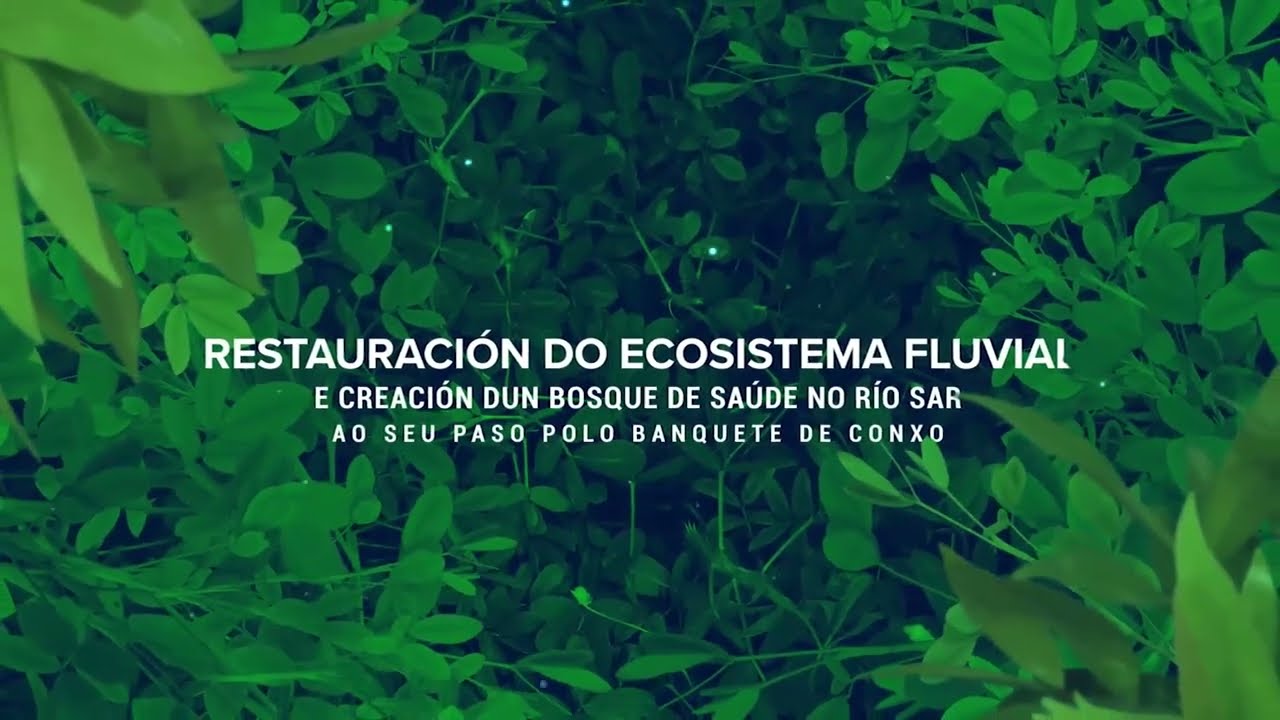 Proxecto de restauración do Ecosistema Fluvial do río Sar