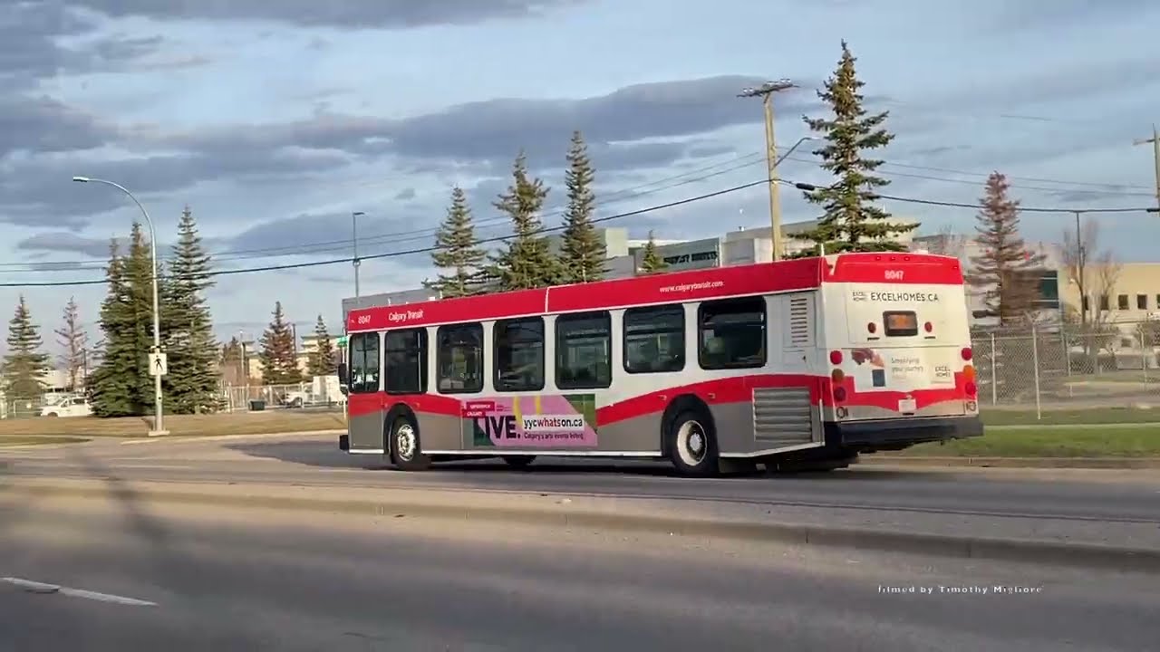 Buses in Calgary, Canada 2024