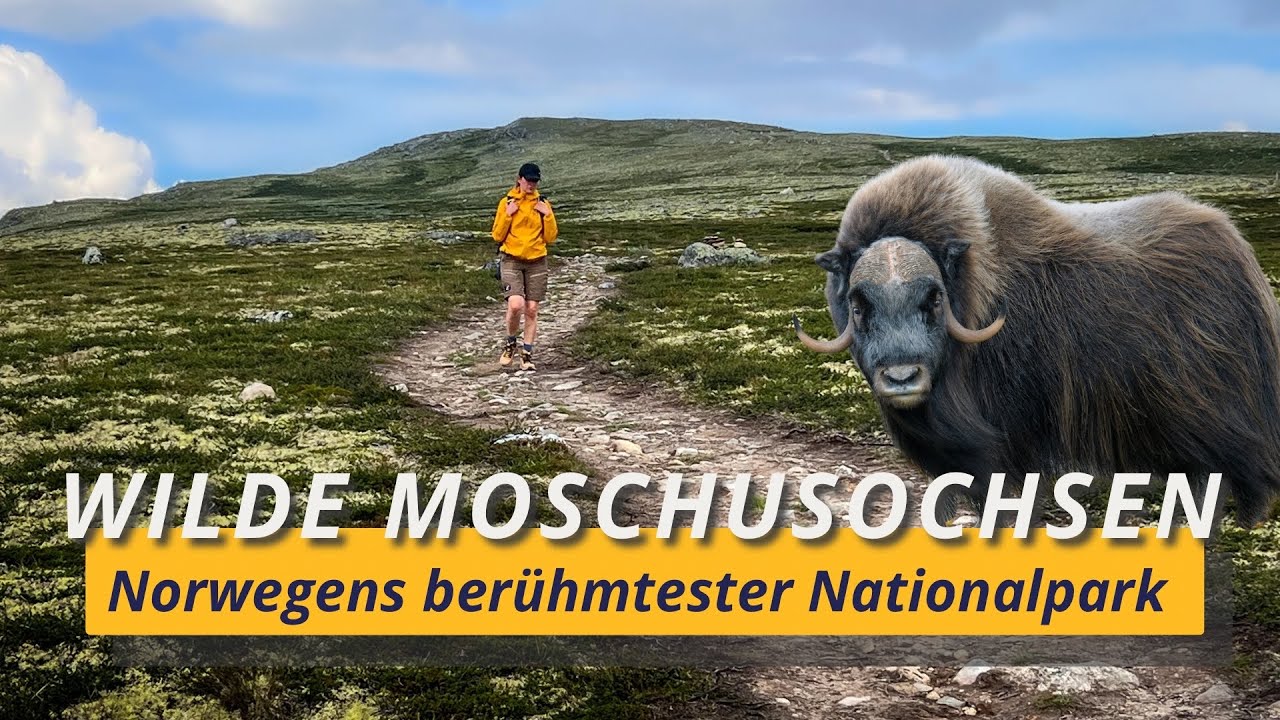 Norwegen: Spektakulärer Wander-Routen-Tipp für Familien