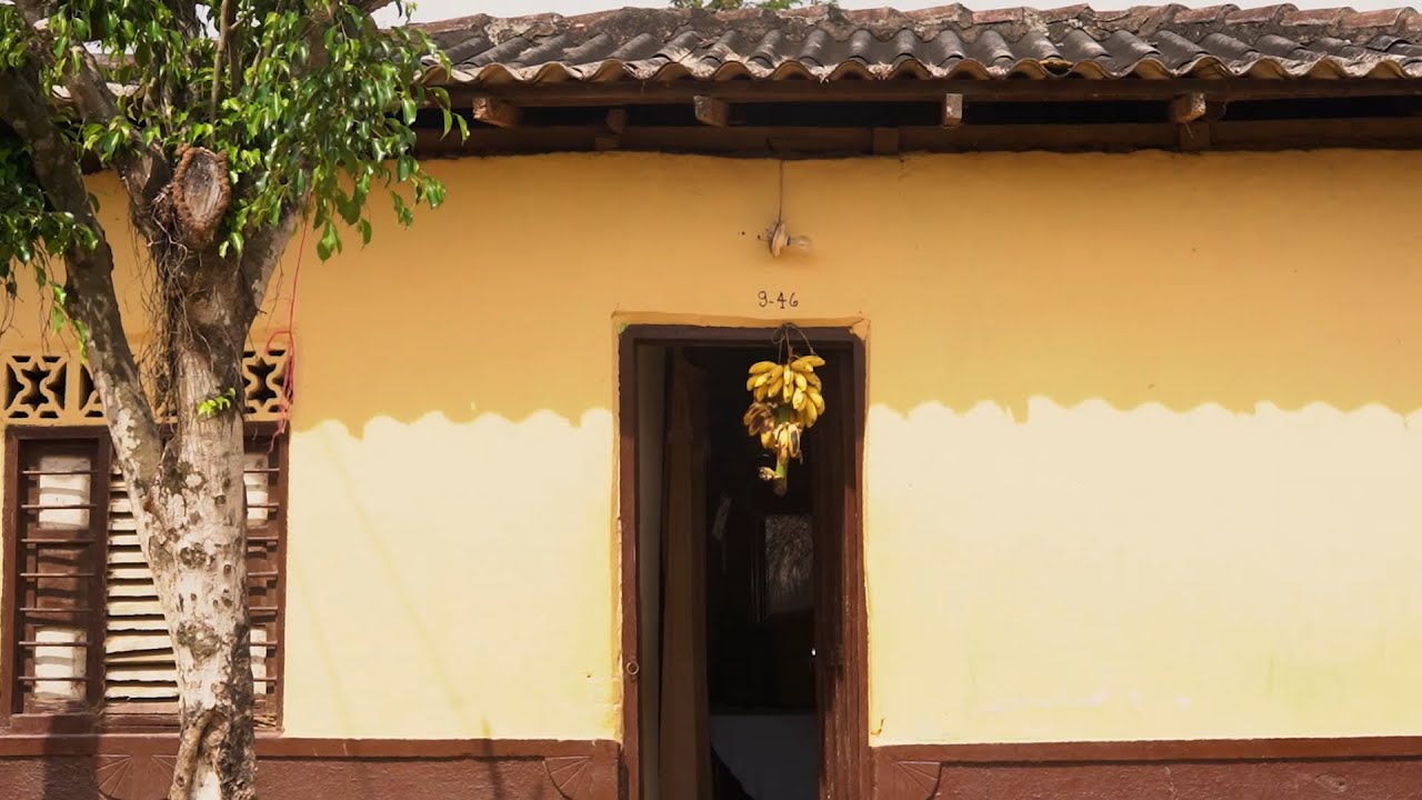 Los colores del Níspero | Un proyecto en los Montes de María con nuestro profesor Daniel Huertas