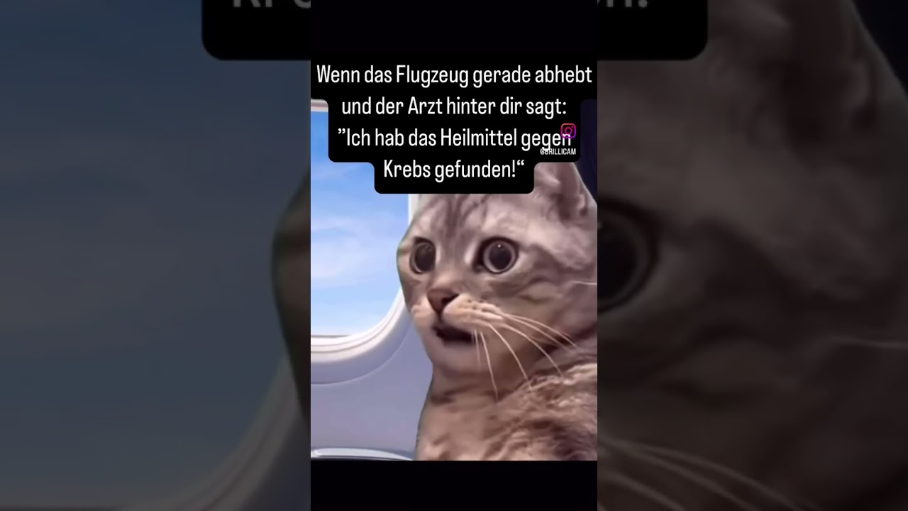 Oh no😭 #reisen #reiselust #fernweh #reisehumor #urlaub
