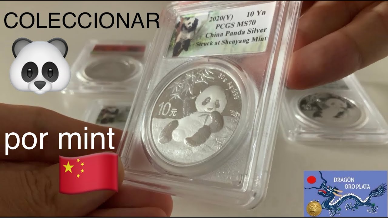 PANDAS PLATA: colección MINT