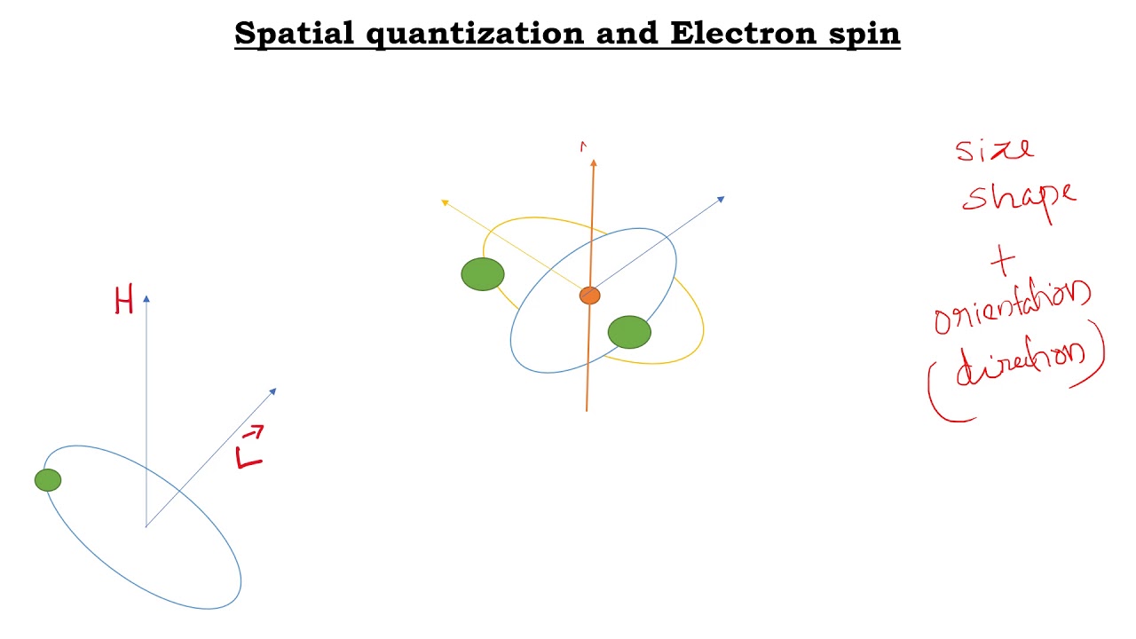 Vector atom model