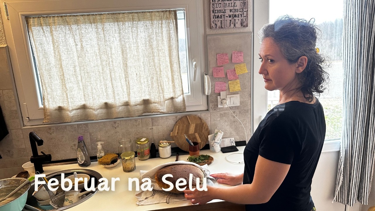 🪵Zimski život na selu – topli obroci sa šporeta na drva i povratak kući, implant, zakon privlačnosti