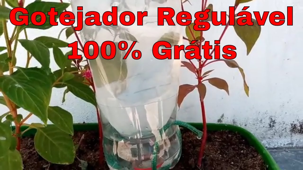 Como fazer um Gotejador de GARRAFA PET com regulador de água - passo a passo