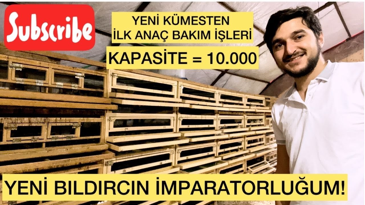 KÜMESLERDE BÜYÜK DEĞİŞİM -\ 1200 ADET TEKSAS YUMURTALARINI ÇIKIMA ALDIM