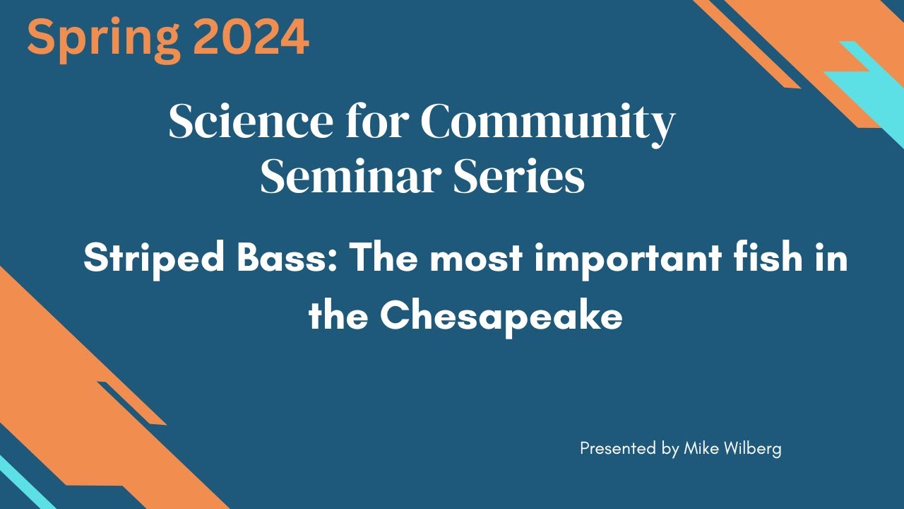 Science for Community: Striped Bass: The most important fish in the Chesapeake
