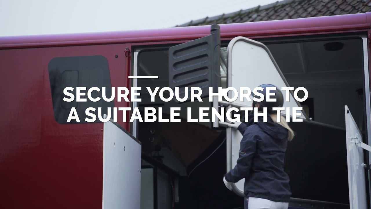 Travelling your horse in a horsebox or horse trailer