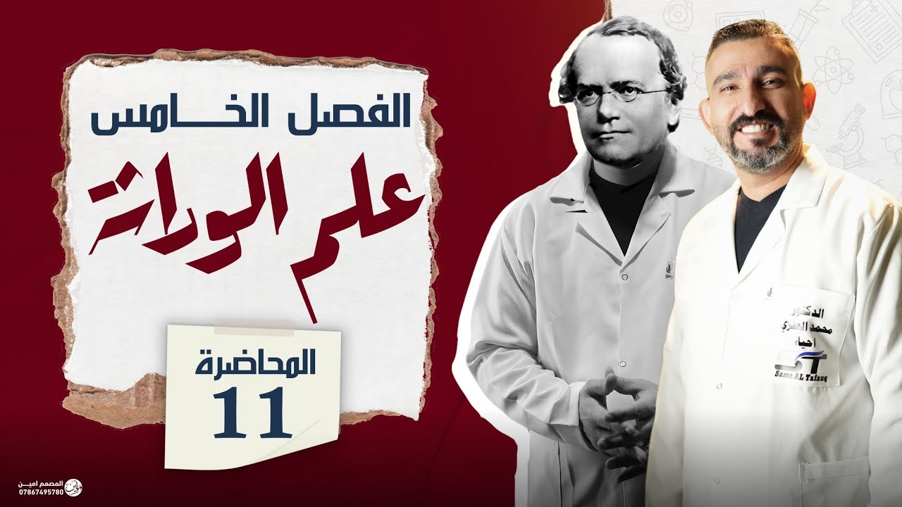 تداخل الفعل الجيني || الوراثة اللامندلية || احياء السادس العلمي