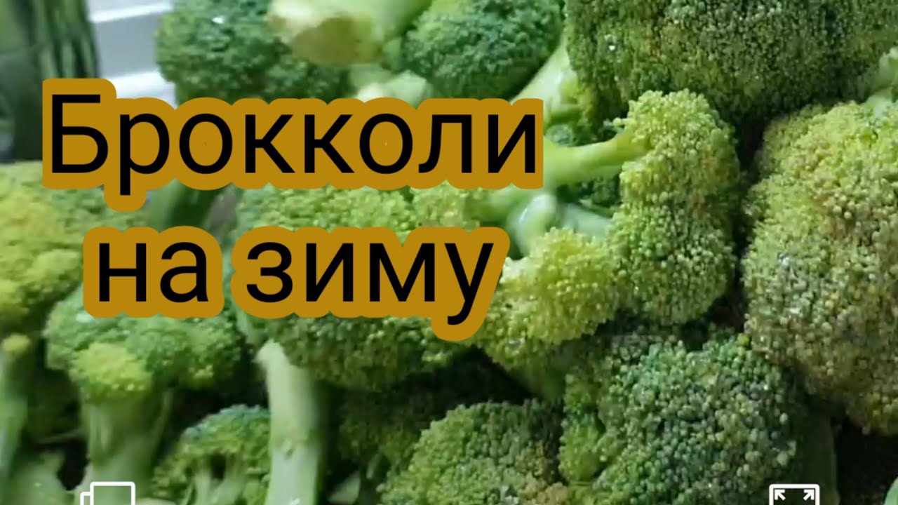 Влог : Брокколи на зиму заморозка 🥦 Как я заготавливаю брокколи