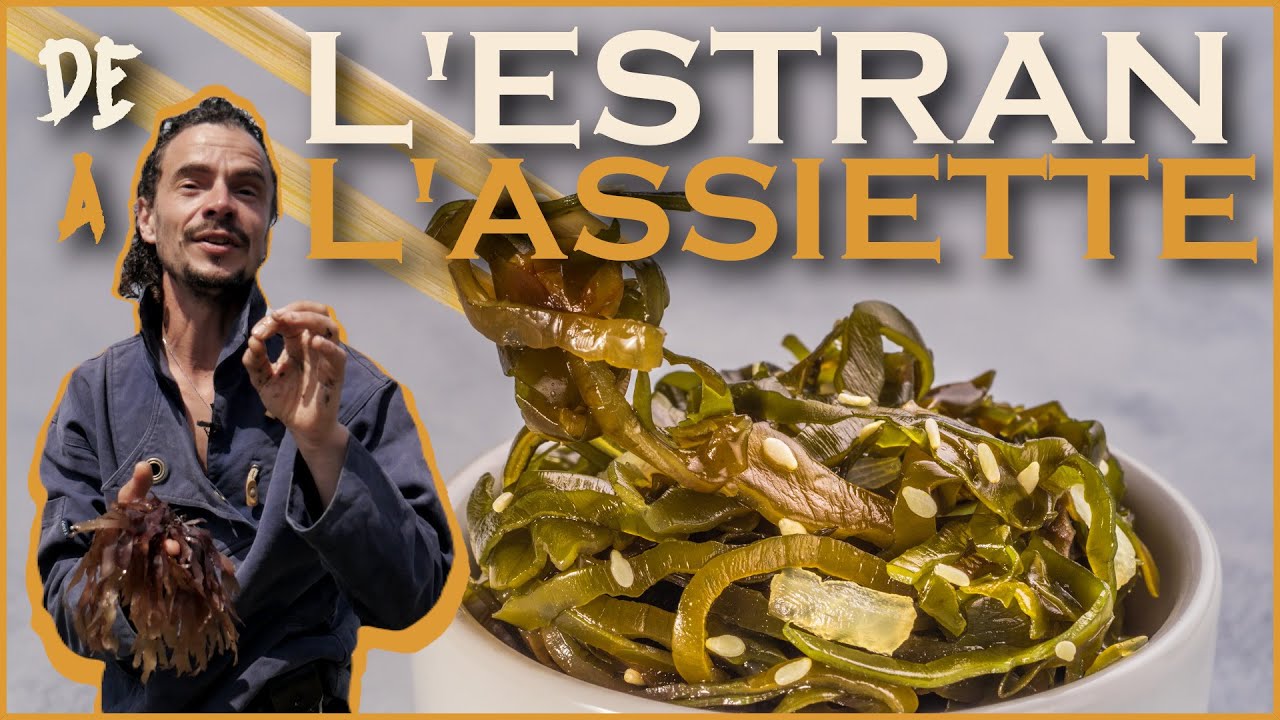 Au gré des rencontres - Cuisiner les algues