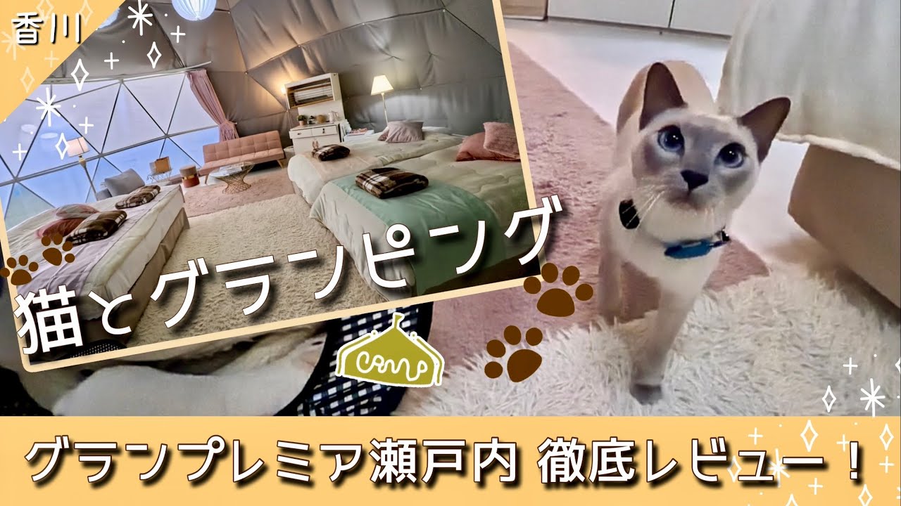 【猫旅】グランプレミア瀬戸内🏕️猫と泊まるグランピング宿🍖徹底レビュー🐾【トンキニーズ】