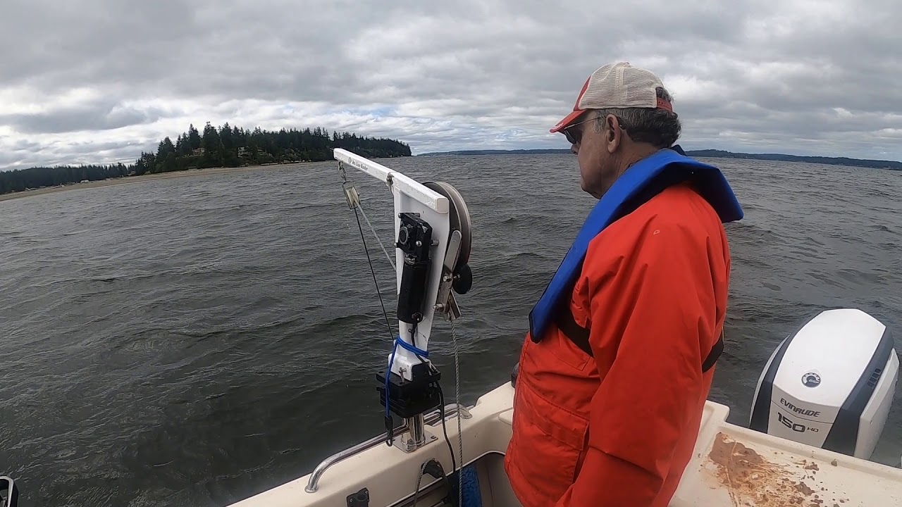Shrimp Puget Sound July 2020