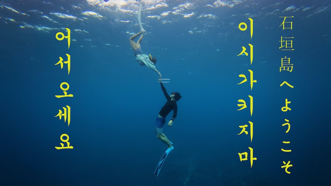 🇯🇵 시야까지 좋아진 이시가키 바닷속! 니모, 롱노즈나비, 거북이,  예쁜 산호, 투어 멤버들  모든 것이 완벽했다! 프리다이빙 투어 마지막날!  ep3. 2025 ishigaki