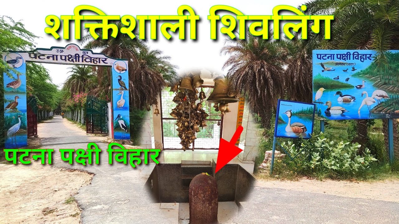 Patna Pakshi Vihar | Patna Pakshi Vihah Jalesar | पटना पक्षी विहार जलेसर  (एटा)