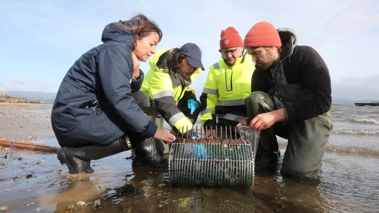 O marisqueo de Vilanova denuncia que a situación é crítica e reclama a Mar que axilice as axudas