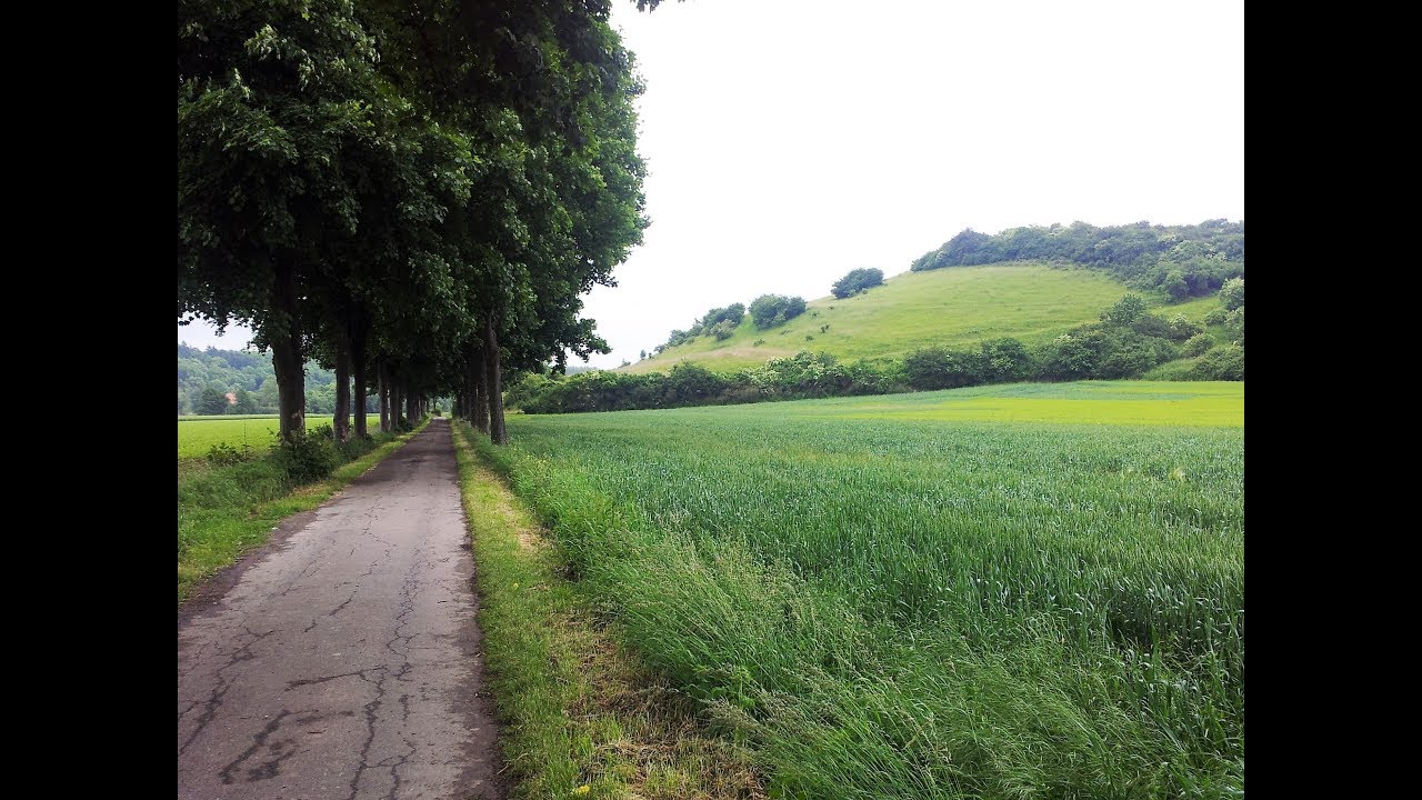 Diemel Radweg