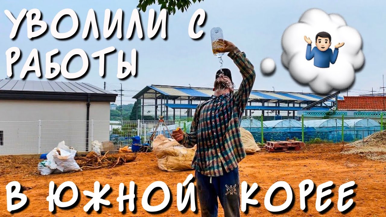 УВОЛИЛИ С РАБОТЫ В ЮЖНОЙ КОРЕЕ [#17]
