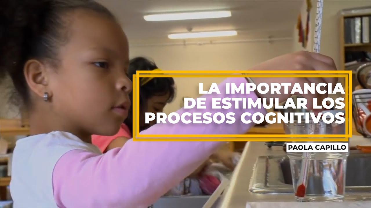 🌟Procesos cognitivos básicos🌟