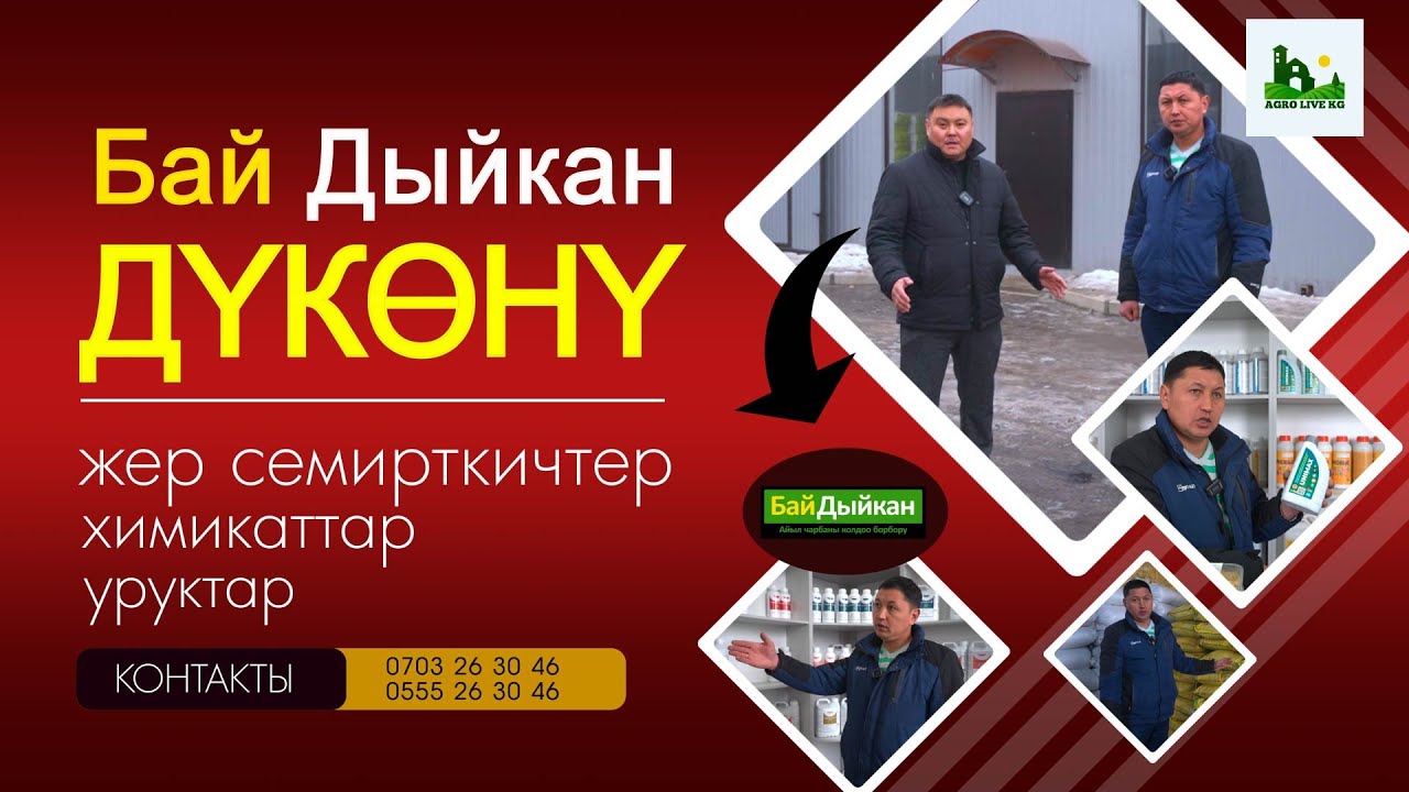 Дыйкандар үчүн салынган дүкөн Бай Дыйкан. Түрлүү үрөндөр жана пайдалуу нерселер сатылат.