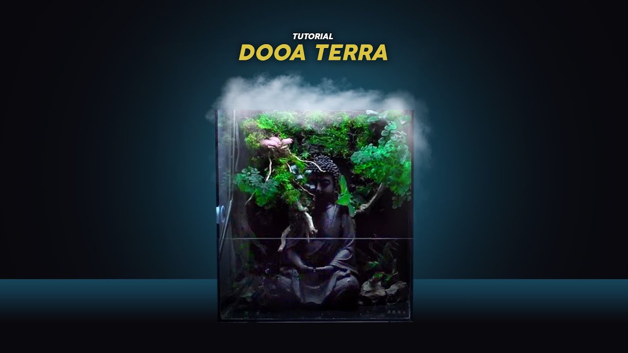 DOOA TERRA30 Paludarium - Cinematic Scaping | PlantedTank