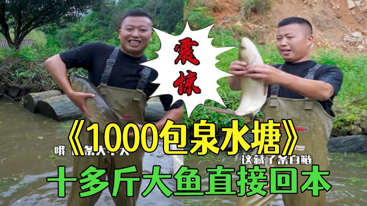 花1000塊包泉水塘，十多斤大魚直接回本  #小飛哥#新農人計劃 #三農 #抓魚 #我要上熱門 #戶外