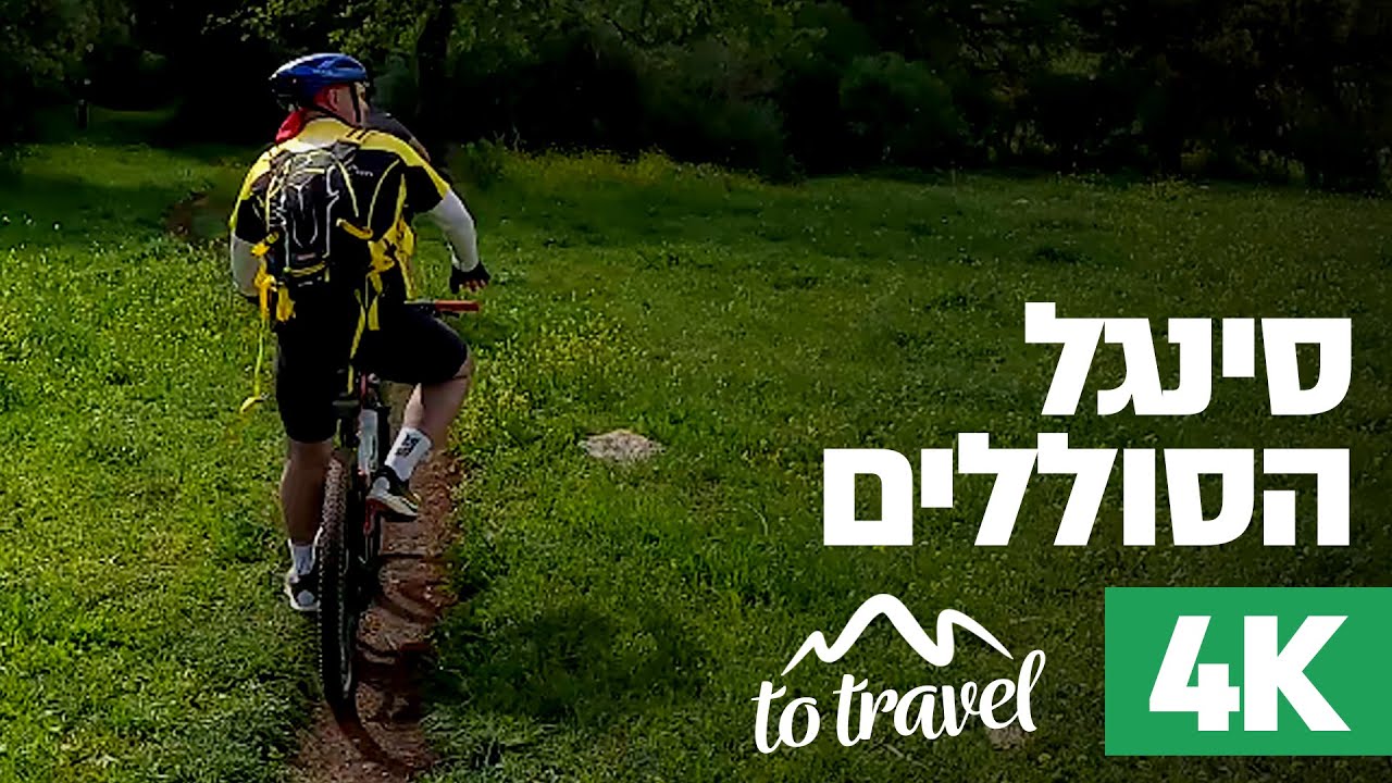 סינגל הסוללים