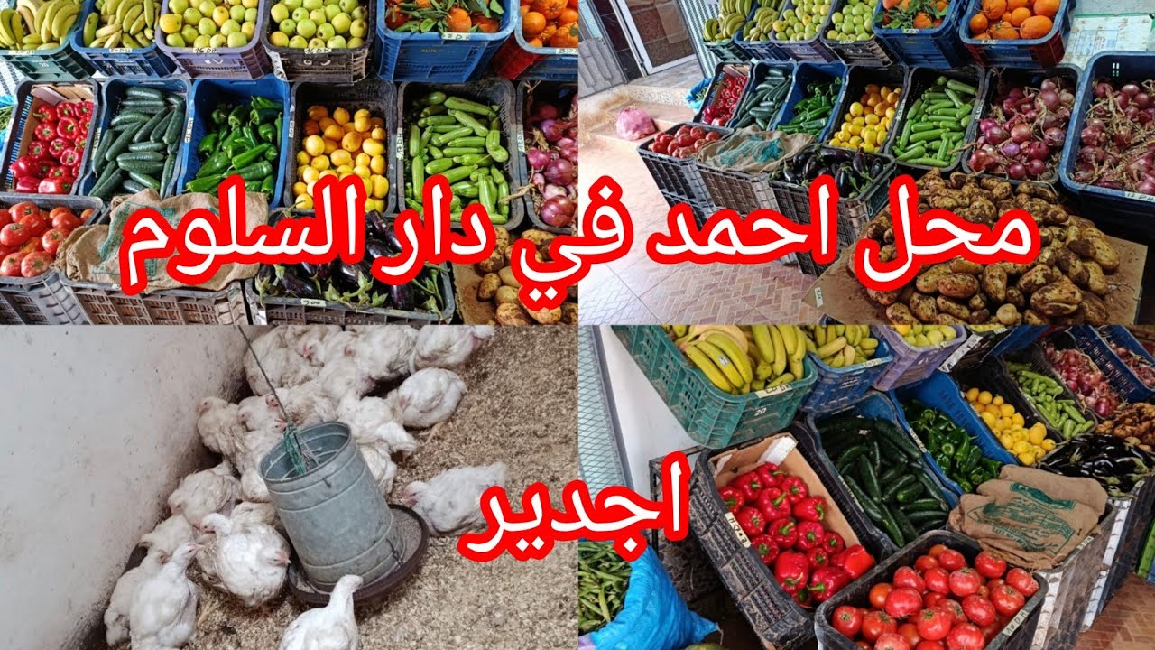 محل أحمد في دار السلوم اجدير يرحب بي الجميع  🤩خضر والفواكه  ودجاج  اثمنة جيد مناسبة 👌توصيل بالمجان 