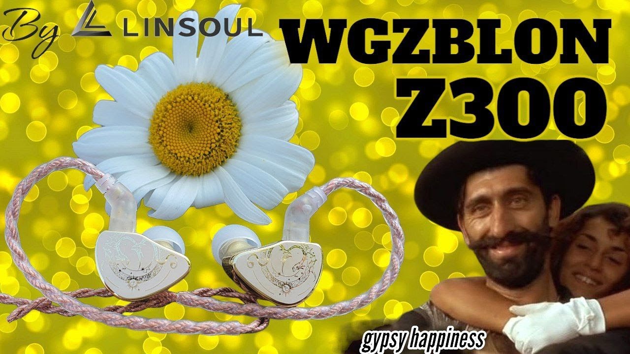 Обзор динамических наушников wgzBlon Z300