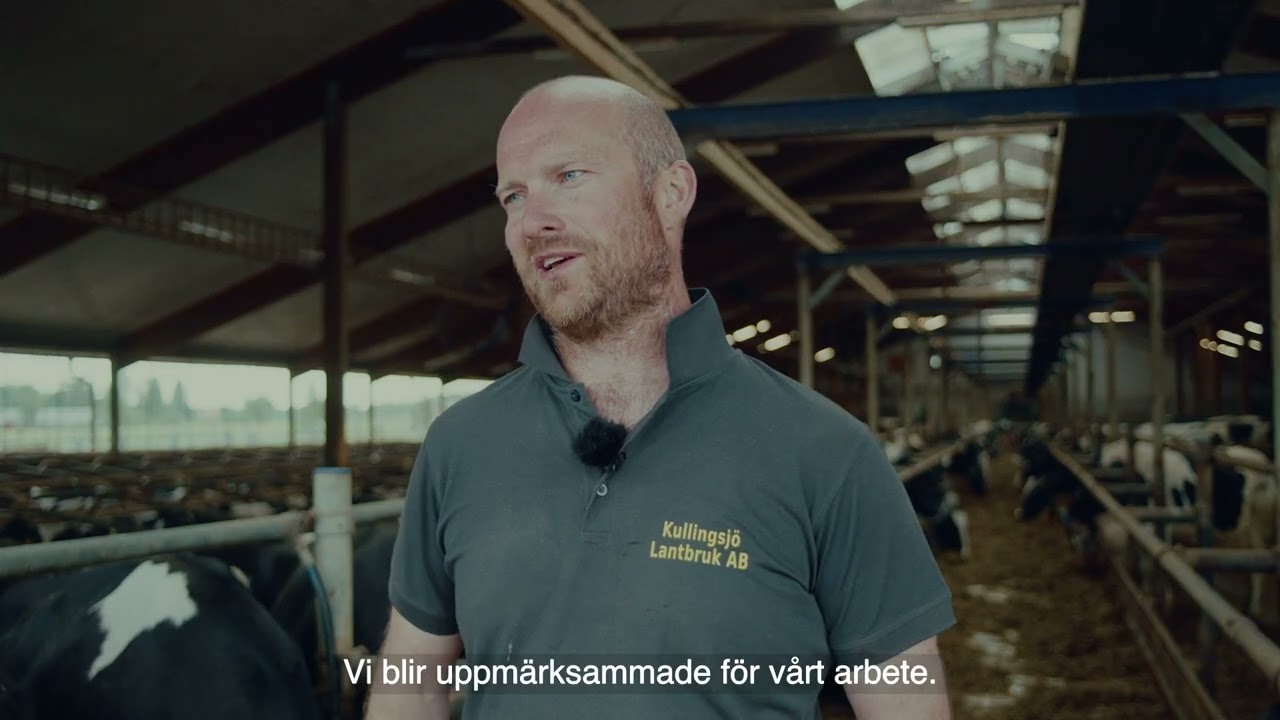 Från farfars tid till framtidens mjölkgård – vårt liv med 300 kor